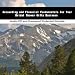 Book Accounting and Financial Fundamentals For Your Bridal Shower Gifts Business