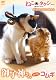 ねこタクシー オフィシャルDVD 御子神さん with コムギ