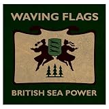 WAVING FLAGS [VINYL]
