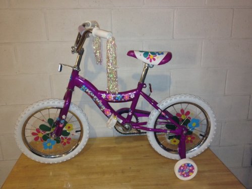 16 Inch Childrens Bike (Purple Color)