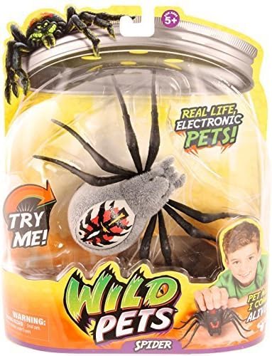 Wild Pets Spider - Wolfgang by Wild Pets
