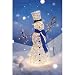 Lighted Twinkle White Grapevine Snowman Decoration