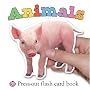 Animals (First Words Flash Card Books)