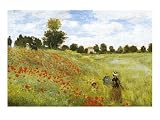 Posters: Claude Monet Poster Art Print - Poppies (20 x 16 inches)