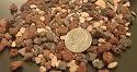 Professional Grade Standard Mix Bonsai Soil 1 gal