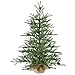 Vickerman Unlit Carmel Pine Artificial Christmas Tree with Pine Cones and Burlap Base, 2.5'