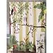 Fun Shower Curtains | Funky Shower Curtains | Kids Shower Curtains - "Monkeying Around" Monkey Printed Fabric Shower Curtain