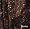 Mother of the Bride Formal Evening Dress #570 (Large, Brown)