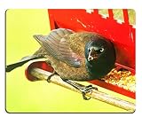 MSD Mousepad It s Mine I m Telling You Natural Rubber Material Image 147921173
