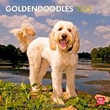 Goldendoodles 2013 - Original BrownTrout-Kalender