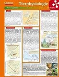Lerntafel: Tierphysiologie im &Uuml;berblick (Lerntafeln Biologie) - Lerntafeln Biologie