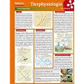 Lerntafel: Tierphysiologie im �berblick (Lerntafeln Biologie)