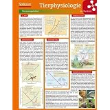Lerntafel: Tierphysiologie im �berblick (Lerntafeln Biologie)von "Lerntafeln Biologie"
