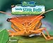 Book Smelly Stink Bugs (No Backbone! the World of Invertebrates)