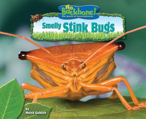 Smelly Stink Bugs (No Backbone! the World of Invertebrates)