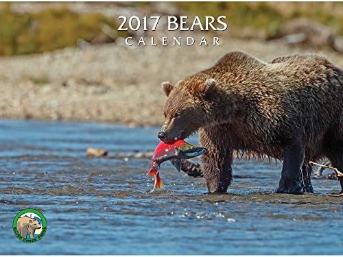 Bears Wall Calendar