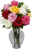 One Dozen Long Stem Assorted Roses with Jordan Vase