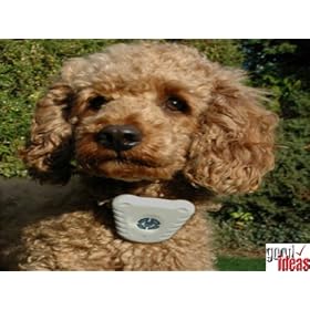 Ultrasonic Dog Bark stop device