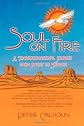Soul on Fire