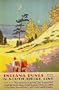 SEAGULL INDIANA DUNES STATE PARK SOUTH SHORE LINE CHICAGO ILLINOIS SMALL VINTAGE POSTER REPRO