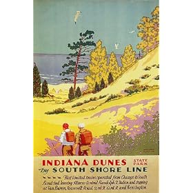SEAGULL INDIANA DUNES STATE PARK SOUTH SHORE LINE CHICAGO ILLINOIS SMALL VINTAGE POSTER REPRO