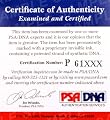 Signed Jeff Gordon Picture - Star 8x10 Stat Card H91842 - PSA/DNA Certified - Autographed Photos
