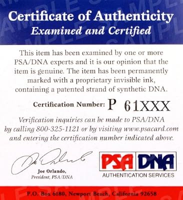 Danica Patrick Signed 1/64 HOTWHEELS Diecast Car COA - PSA/DNA Certified - Autographed Diecast Cars