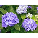 ���i�̏ڍ�