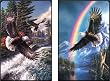 Large Print Double Deck Bridge Playing Cards - Soaring Eagles