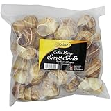 Roland Extra Large Snail Shells, 3 DOZEN Tube