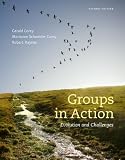 Groups in Action: Evolution and Challenges (with CourseMate Printed Access Card and DVD)