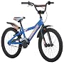 Diamondback RM Boy's Bike (20-Inch Wheels)
