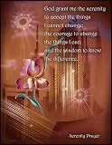 Inspirational plaque wall hanging with quote: God grant me the serenity to accept the things I cannot change; the courage to change the things I can; and the wisdom to know the difference.