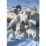 Arctic Animals 1,000-pc. Puzzle