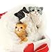 Department 56 Possible Dreams Purr-Fect Gift Santa, 10 inch