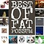 The Best Of Fat Possum