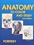 Anatomy to Color and Study