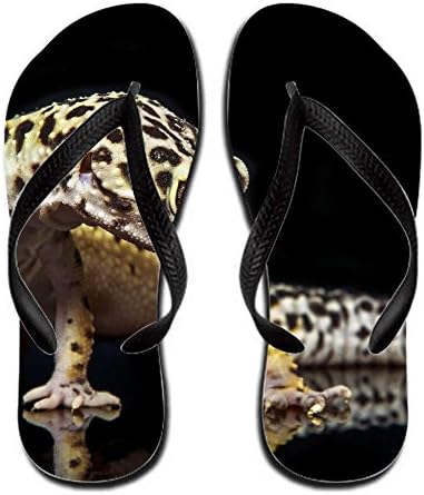Orlaston Animal Leopard Gecko Colorful 8 B(m) Us Flip Flop Rubber Men