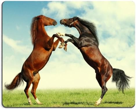 Horse Play Field Sunshine Fun Animal Mouse Pads Customized Made to Order Support Ready 9 7/8 Inch (250mm) X 7 7/8 Inch (200mm) X 1/16 Inch (2mm) High Quality Eco Friendly Cloth with Neoprene Rubber Luxlady Mouse Pad Desktop Mousepad Laptop Mousepads Comfortable Computer Mouse Mat Cute Gaming Mouse pad