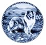 Collie (Rough:Sable/White)