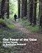 The Power of the Case, from Current Issues in Qualitative Research