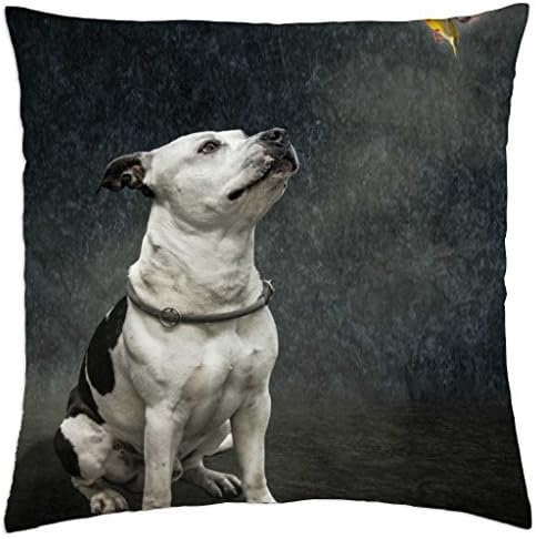 Pit bull gazing at the bird - Rainy man Pillow Cover Case (18" x 18")