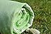Dandelion - Basic Pattern - Naturally-Dyed Cotton Turkish Towel Peshtemal - 71x39 Inches - Pistachio Green