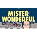 Mister Wonderful: A Love Story