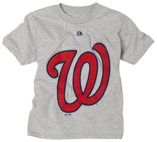 MLB Boys' Washington Nationals Soft Density Logo Short Sleeve Basic Tee (Steel Heather, Medium)