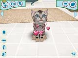 Catz 2006 (PC CD) Software