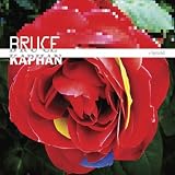 Bruce Kaphan Hybrid
