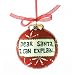 I Can Explain Christmas Ornament
