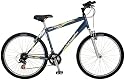 Schwinn High Timber Men's Mountain Bike (26-Inch Wheels, Steel Blue)