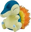 ポケットモンスター NEWポケモンぬいぐるみ...